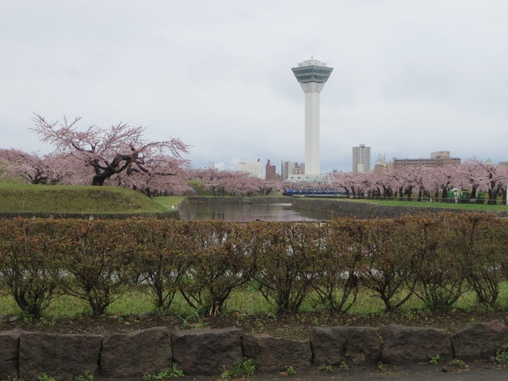 函館近景画像
